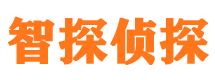 内江外遇调查取证